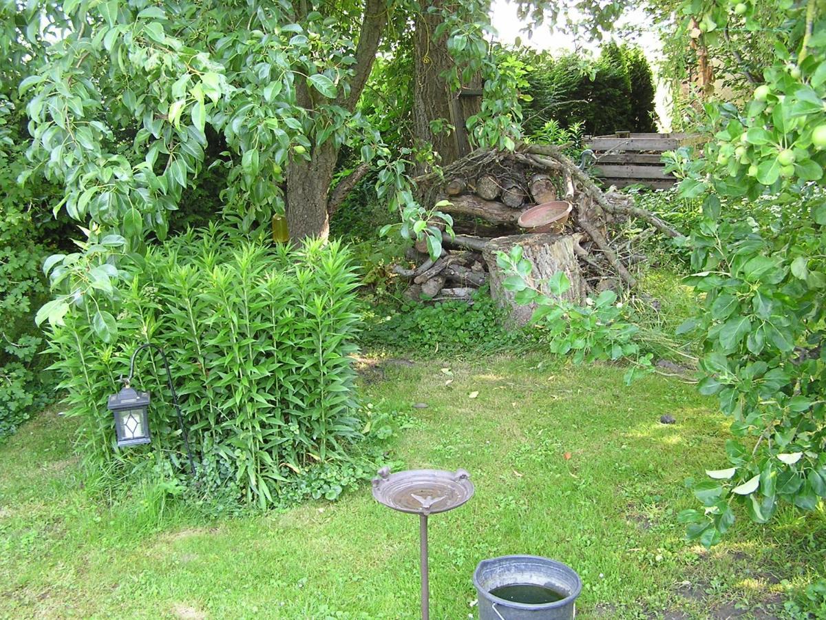 Peeneurlaub Lassan Exterior photo